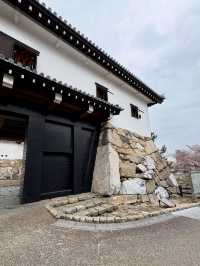 A Slow Day in Imabari – Castles, Shrines & Seaside Calm