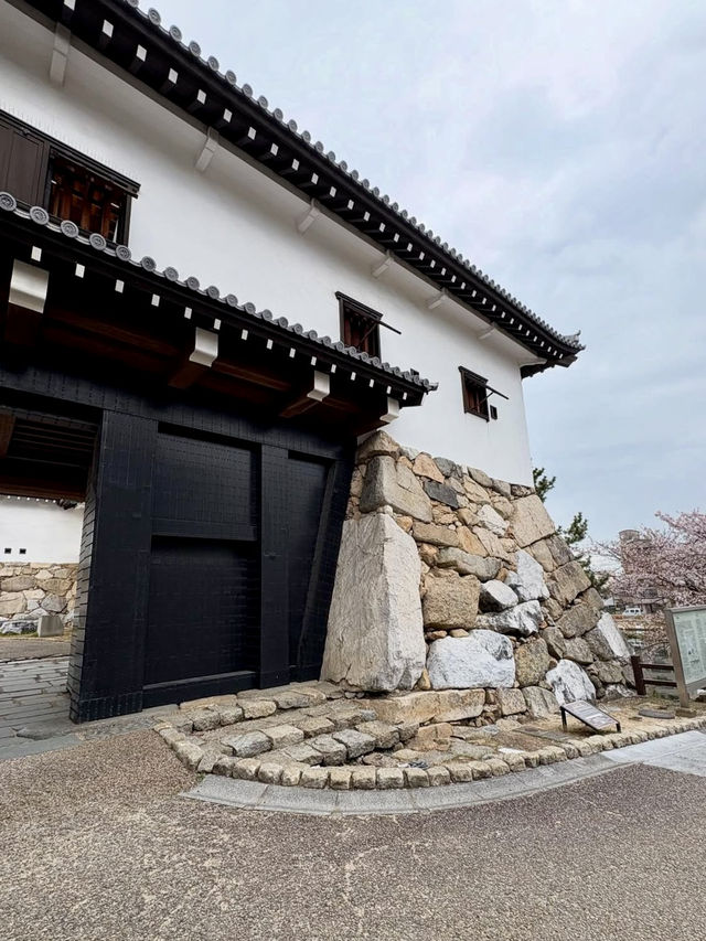 A Slow Day in Imabari – Castles, Shrines & Seaside Calm