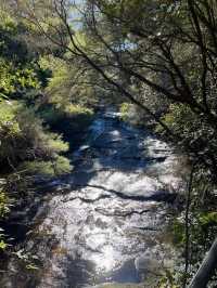 Prince Henry Cliff Walk at Blue Mountain, Sydney