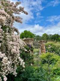 Hinton Ampner: Grace, Gardens, and Glorious English Countryside