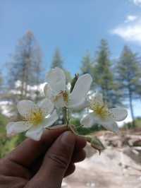 Paro, Bhutan: A Sacred Valley of Serenity and Stories