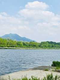 A Refreshing Escape to Misa lake Park (미사경정공원)