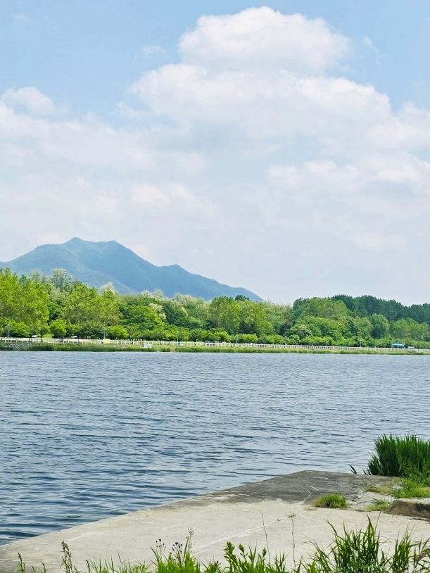 A Refreshing Escape to Misa lake Park (미사경정공원)