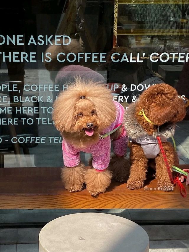 Cotero Coffee