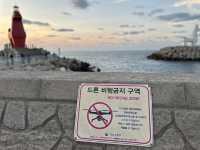 이호태우해변