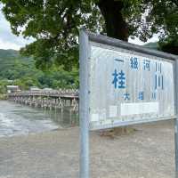 嵐山最新スポット