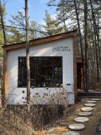 전주 숲속에 도서관 🌿