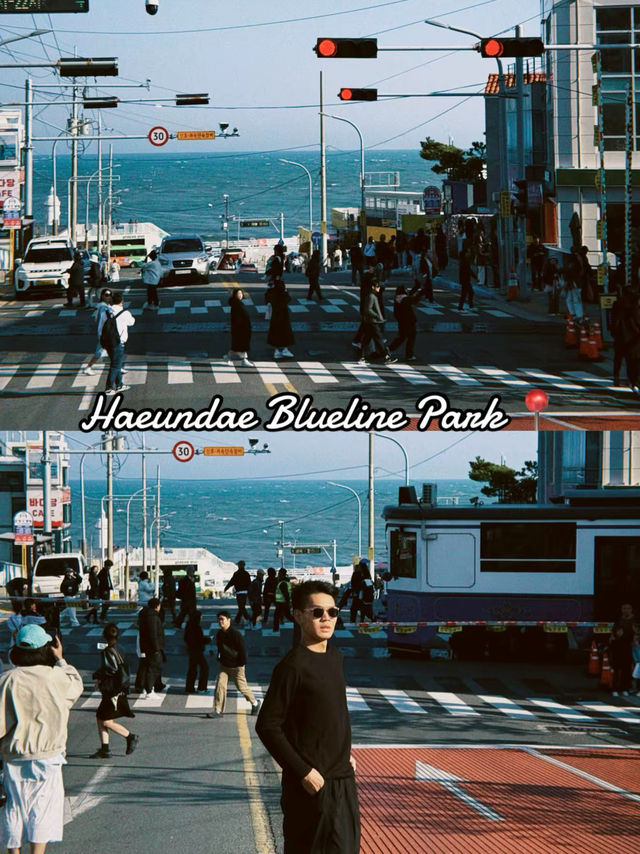 A Perfect Day in Busan 🇰🇷✨