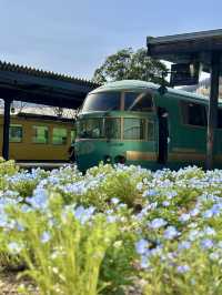Slow Down Summer: Soulful Solo Ride to Yufuin