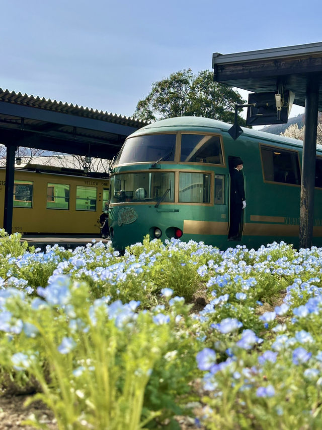 Slow Down Summer: Soulful Solo Ride to Yufuin