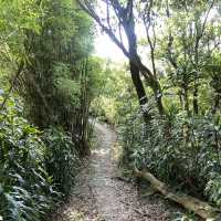 🚶‍♂️台北大縱走第五段｜逆走攻略：碧山巖 ➝ 劍潭站