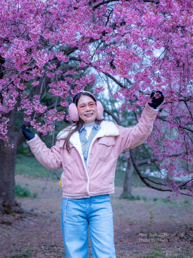 รถม้าพาเที่ยวเซ็นทรัลปาร์ค (Central Park)