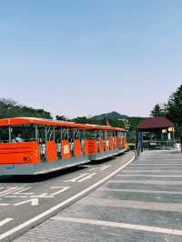 『ソウル動物園🐅』IN Korean🇰🇷