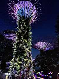 สิงคโปร์🇸🇬