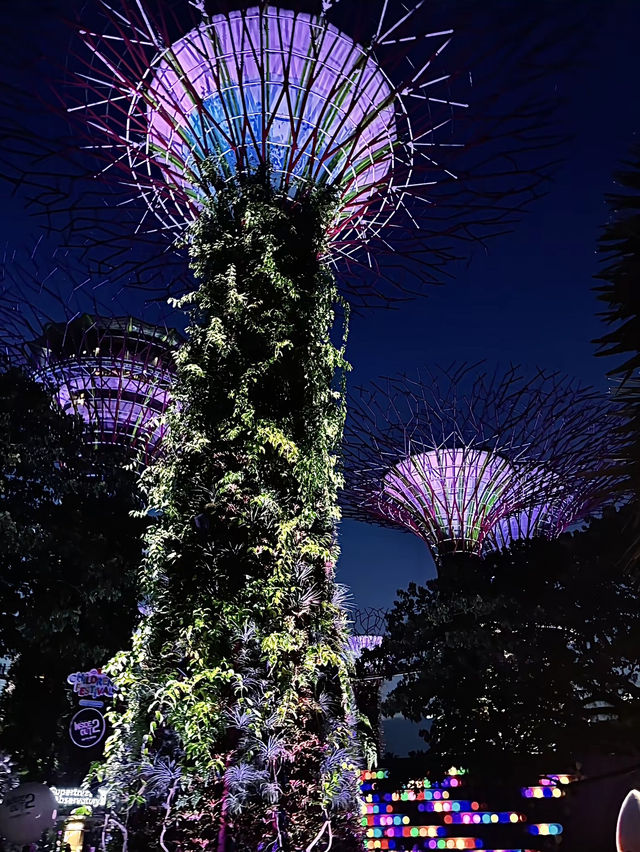 สิงคโปร์🇸🇬