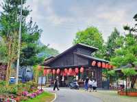 HOHOCHA喝喝茶，讓您在台灣的日月潭享受一場茶葉文化之旅！