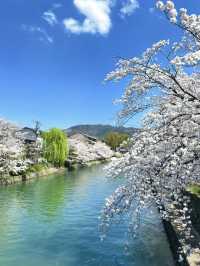โอซาก้า🇯🇵