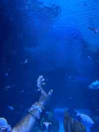 อควาเรีย ภูเก็ต (Aquaria Phuket) 