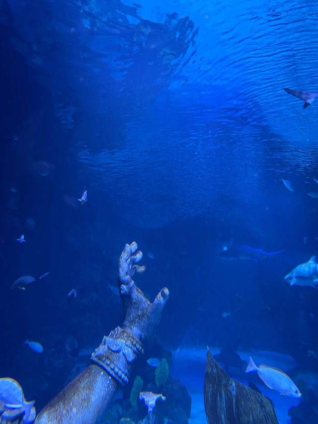 อควาเรีย ภูเก็ต (Aquaria Phuket) 