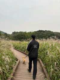 인천대공원 완벽 가이드 🚲🐾
