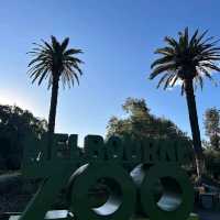 Melbourne Zoo – Melbourne, VIC