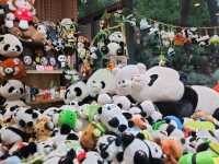 🐼สถานที่ยอดฮิตในตูเจียงเยี่ยน