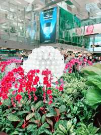 Changi Airport Terminal 3: A Luxe Shopping and Leisure Haven
