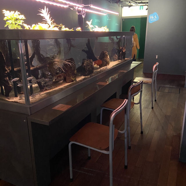 【廃校水族館】みなとやま水族館がエモすぎた🐟🏫