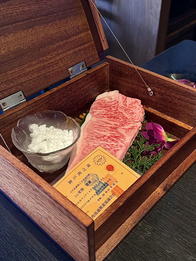 โอซาก้า🇯🇵