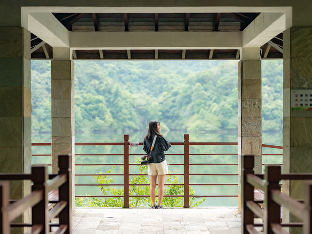 山林秘境民宿 ⛰️ 隱世仙境，逃離煩囂！