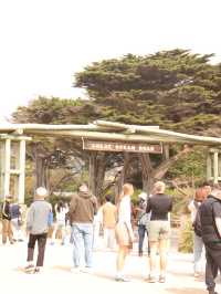 Melbourne AU - Great Ocean Road and fish&chips