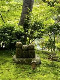 えっ、長谷寺って、紫陽花だけじゃないの？🇯🇵✈️🌎