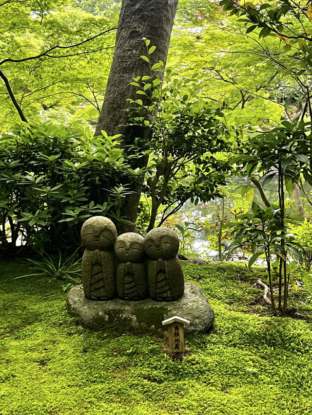 えっ、長谷寺って、紫陽花だけじゃないの？🇯🇵✈️🌎