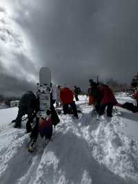 Book a backcountry tour