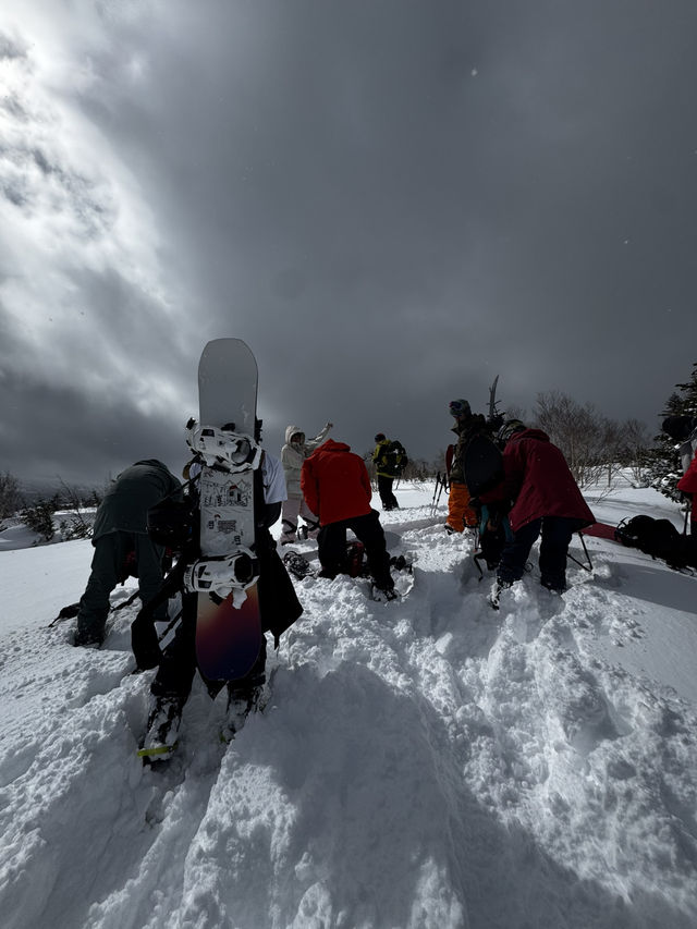 Book a backcountry tour