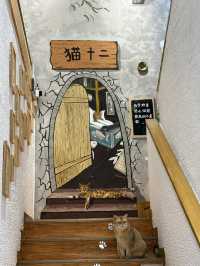 蘇州｜平江路「貓十二」貓咖天堂❤️