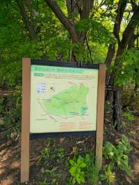 해외여행 삿포로 등산 Mount Moiwa Hiking Walking trail 