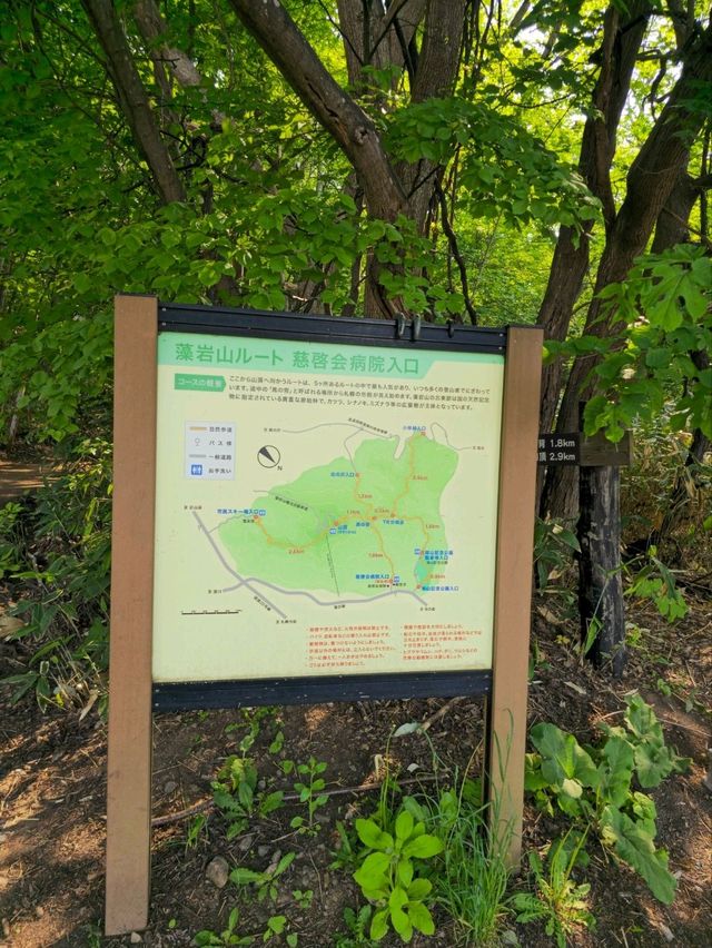해외여행 삿포로 등산 Mount Moiwa Hiking Walking trail 