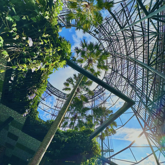 My Stay at Oasia Hotel Downtown: Singapore's Green Oasis! 🌿🏨✨