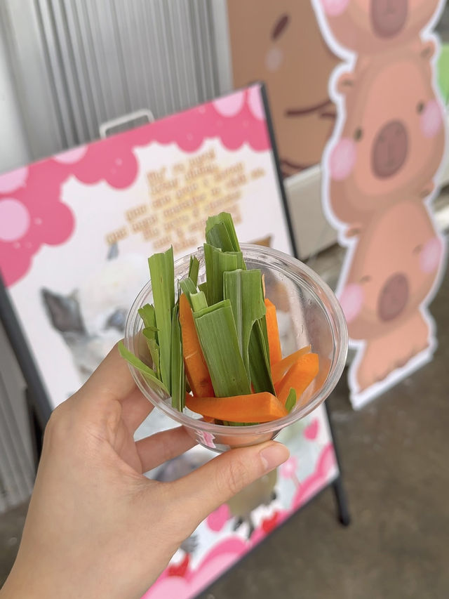 Capyba Cafe Skudai: Feed Alpacas, Meet a Capybara & Try the Cutest Pudding