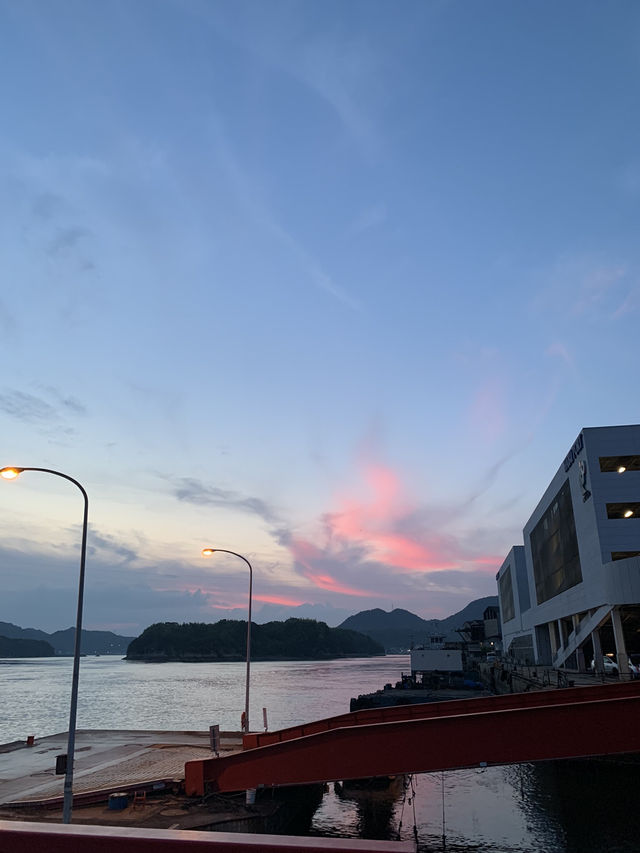 【広島🇯🇵】離島で過ごす夏の休日🌻