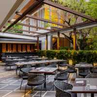 A Luxurious Escape in a Serene Oasis