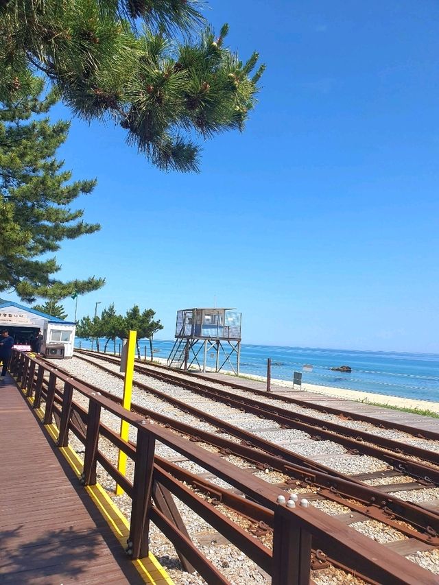 동해바다 오션뷰 레일바이크 즐기기⛱️