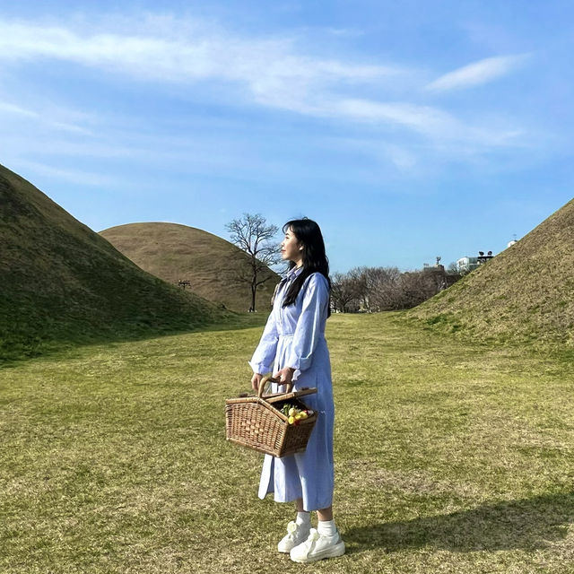 경주 피크닉 장소/물품대여/카페까지 정리!