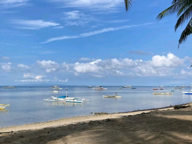 Captivating Beauty of Bohol