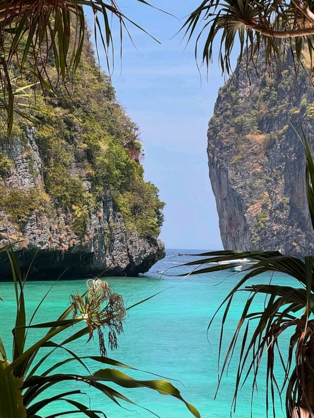🌊🌴 Island Dreams Come True! | Phi Phi Cruise Experience 🇹🇭💕
