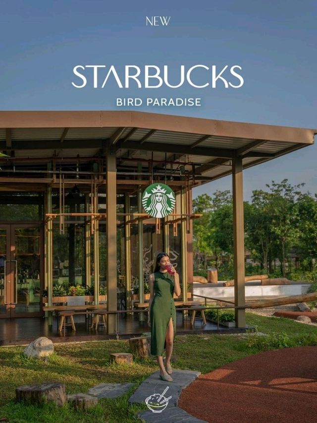 Starbucks Bird Paradise Singapore