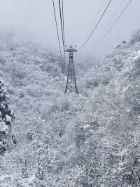 🚡空と海をつなぐ絶景旅「弥彦山ロープウェイ」で五感が満たされるひととき