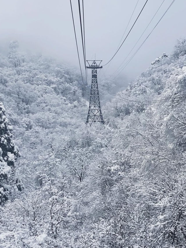 🚡空と海をつなぐ絶景旅「弥彦山ロープウェイ」で五感が満たされるひととき
