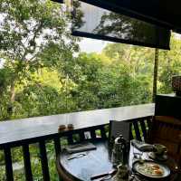 Ritz-Carlton Rainforest Villa
